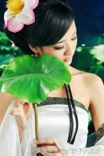 掌叶复盆子 掌叶复盆子 万叶复黄黄，深情夜未央