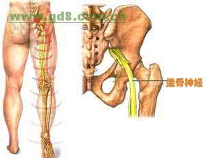 胆经堵塞有什么症状 坐骨神经痛与膀胱经和胆经堵塞有关|神经痛专题(中)