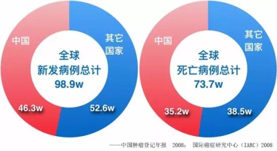 信息技术培训的必要性 信息技术培训的必要性 胃癌术后补铁的必要性