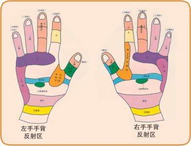 人体穴位图男高清大图 人体穴位图（全彩大图）