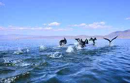 家永远是温暖的港湾 家永远是温暖你身心的栖息地