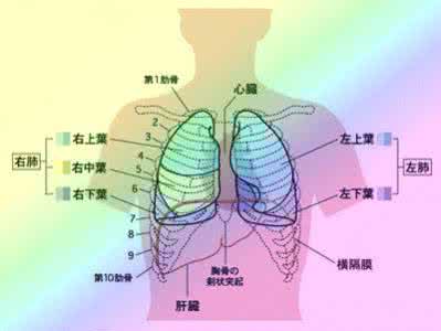 清除五脏毒素 排除人体五脏毒素、最简单有效的方法！