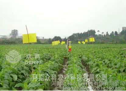 环保杀虫剂 植物环保杀虫大法，很实用哦