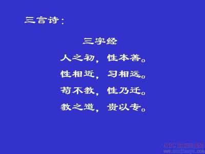 谈散文语言节奏美  谈诗歌语言节奏的表现美