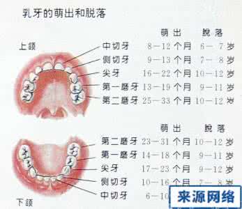 小孩换牙顺序图 小孩换牙顺序图 小孩换牙过程是什么?