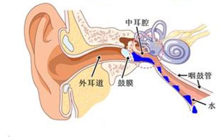 汉江怪物十大疑问 汉江怪物十大疑问 买房风水十大疑问详解