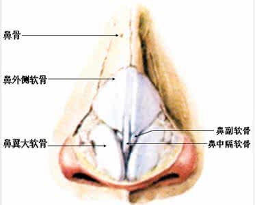 治过敏性鼻炎的方法 怎么治过敏性鼻炎 简单方法治过敏性鼻炎