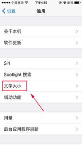 浏览器文字大小设置 iPhone 5s在哪里设置文字大小