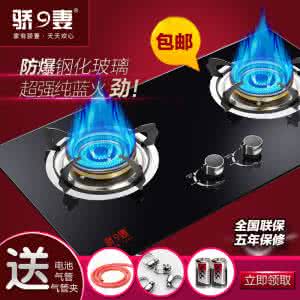 燃气灶哪个牌子最好 燃气灶 燃气灶哪个牌子好