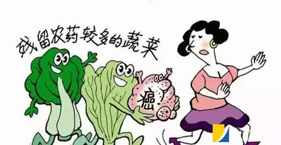 饭菜放一晚 没冰箱 2分钟去掉饭菜农药 现在知道也不晚
