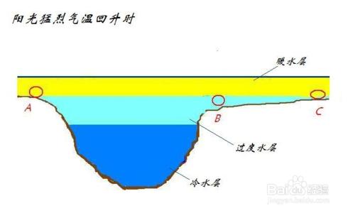 长江钓鱼选位置示意图 冬天钓鱼怎样选钓位？