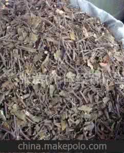 桑寄生茶的功效与作用 桑寄生茶 寄生茶是什么茶，寄生茶的功效