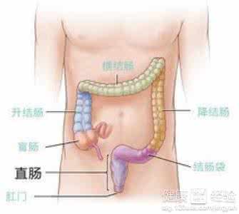 痔疮患者的饮食 痔疮患者肛交后会有哪些危害