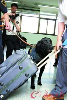 坐飞机电脑可以托运吗 坐飞机电脑可以托运吗 坐飞机电脑可以带吗?