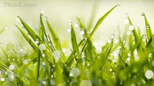 雨水节气 雨水节气禁忌 做好四个方面好度春