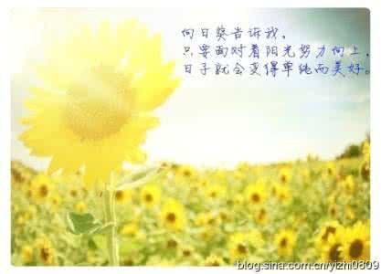 阳光灿烂的日子 面对阳光努力向上，每天活出最灿烂的自己