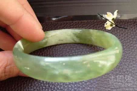 蓝田玉 蓝田玉 【蓝田玉】蓝田玉简介