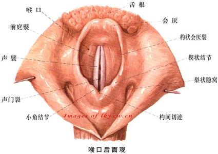 声带小结如何治疗 声带小结 声带小结应该如何治疗