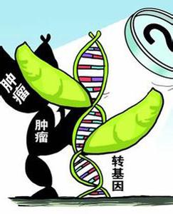 转基因食品的危害 转基因食品的危害 了解转基因食品