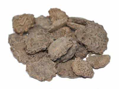 木鳖子 木鳖子 木鳖子是什么