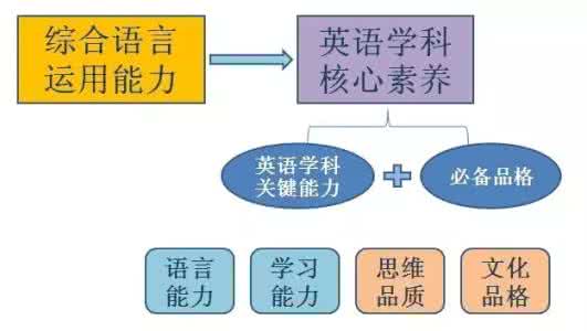 英语阅读素养 王蔷 王蔷：核心素养培养对教学设计的再思考