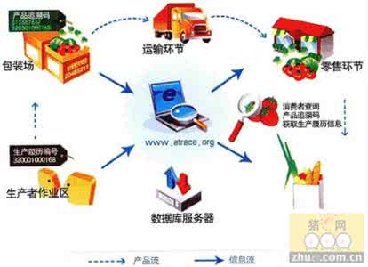 我国食品安全监管体系 进一步深化监管体系建设保障食品安全