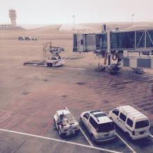 只恨岁月太匆匆作文 莫笑烟花不堪剪，只因岁月太匆匆（苏小小）