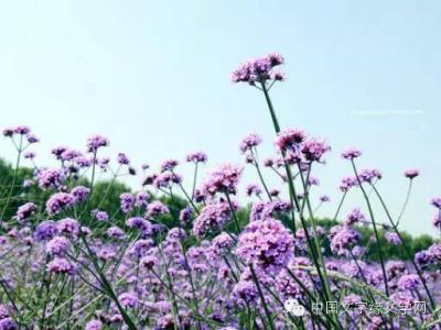 人民的名义旁白 九月的旁白