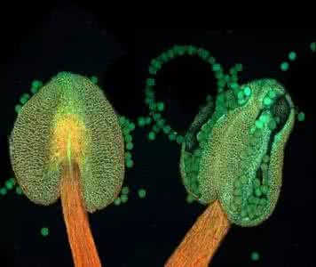 微观世界 微观世界 微观看世界