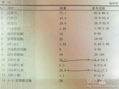 总胆红素升高的原因 总胆红素升高的原因 胆红素高的原因 这些病因导致胆红素升高