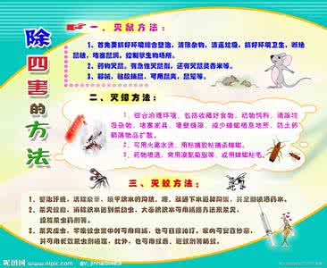 除四害知识宣传资料 除四害宣传资料