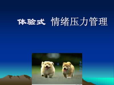 悲伤电影 电影 2005 情绪管理：悲伤时让悲伤电影来疗伤