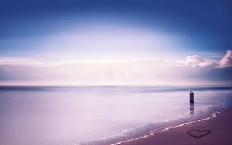 作文学会欣赏风景 你学会欣赏别人，就成了别人眼里的风景