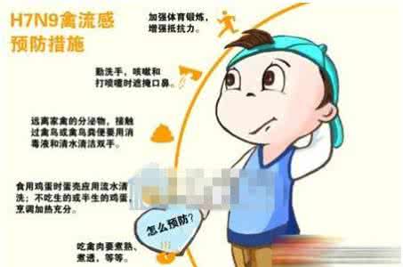 小朋友如何预防禽流感 小朋友如何预防禽流感 禽流感来袭宝宝如何预防