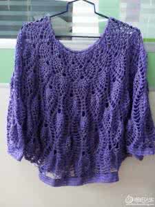 钩针编织菠萝花图解 大菠萝花套头衫_钩针编织作品秀_编织人生论坛