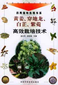白芷的功效与作用 白芷的功效与作用简介 白芷的简介、功效与作用及药理作用