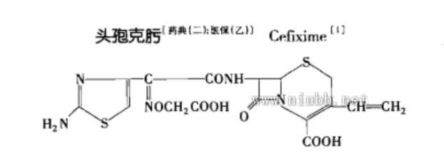 医学百科 头孢克肟 头孢克肟 - A+医学百科