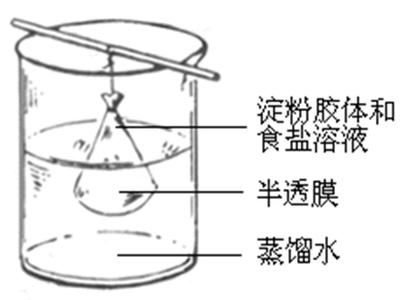 生物渗析疗法是传销吗 渗析