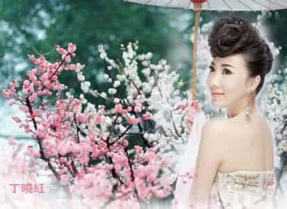 丁晓红 梦入桃花源 细腻甜润的歌声-丁晓红《梦入桃花源》【绝美音画】