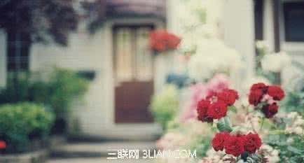 空气清新剂什么味道好 空气清新剂什么味道好 带点文艺清新的味道，很适合恬静婉约型的妹子！