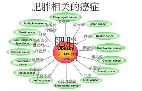 肥胖与癌症的关系 肥胖与癌症的关系 肥胖与癌症风险之间的复杂关系