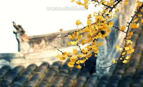 特效秘方值得珍藏 都是即愈、特效秘方,值得珍藏【十三】*