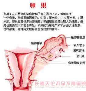 卵巢性不孕的原因 卵巢性不孕有什么原因 哪些原因会引起卵巢性不孕