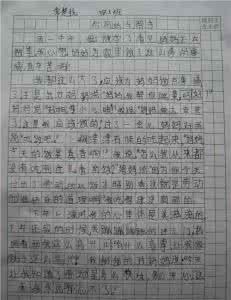 高中生优秀作文800字 高中生优秀母亲节作文1200字