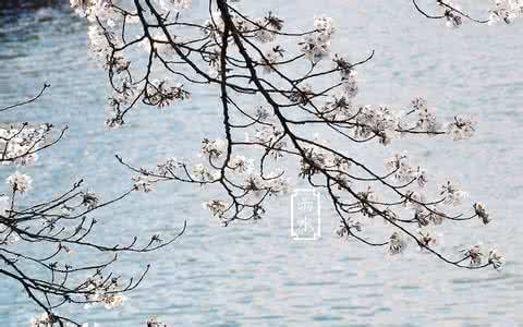 雨水节气 雨水是第几个节气
