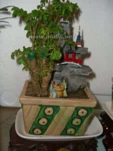 微小盆景 赏心悦目的微小型盆景制作方法