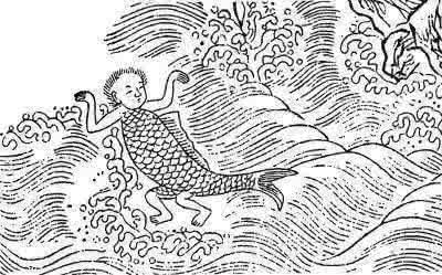 美人鱼原本不是邓超 转:很黄很暴力,没想到美人鱼原本是这样的。。。