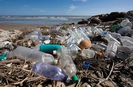 海洋生物泵 温室效应 海洋污染生物效应