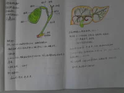 执业医师考试_精简高效复习笔记（6册）