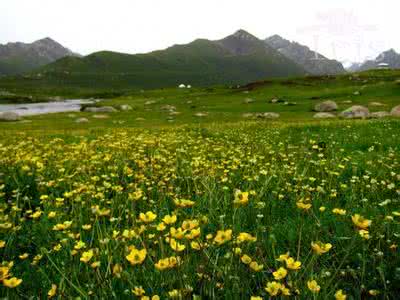 天神的后花园 沉醉在天神花园里